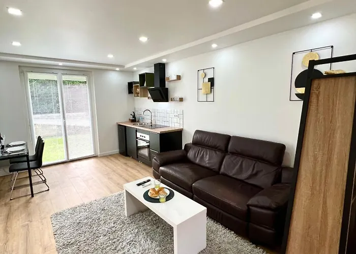 De Prestige Jardin Privatif Parking * Launaguet